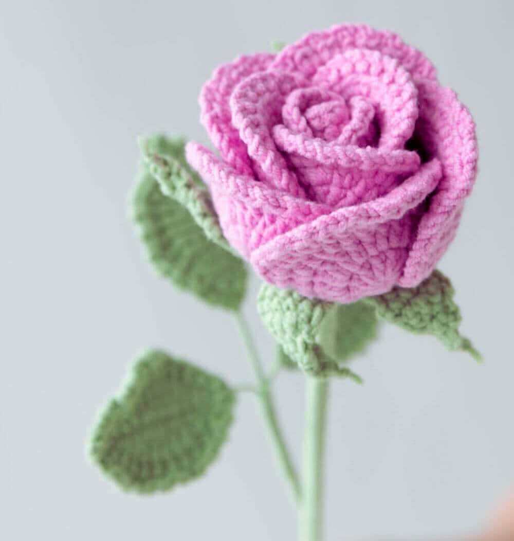 Eternal Romance Rose