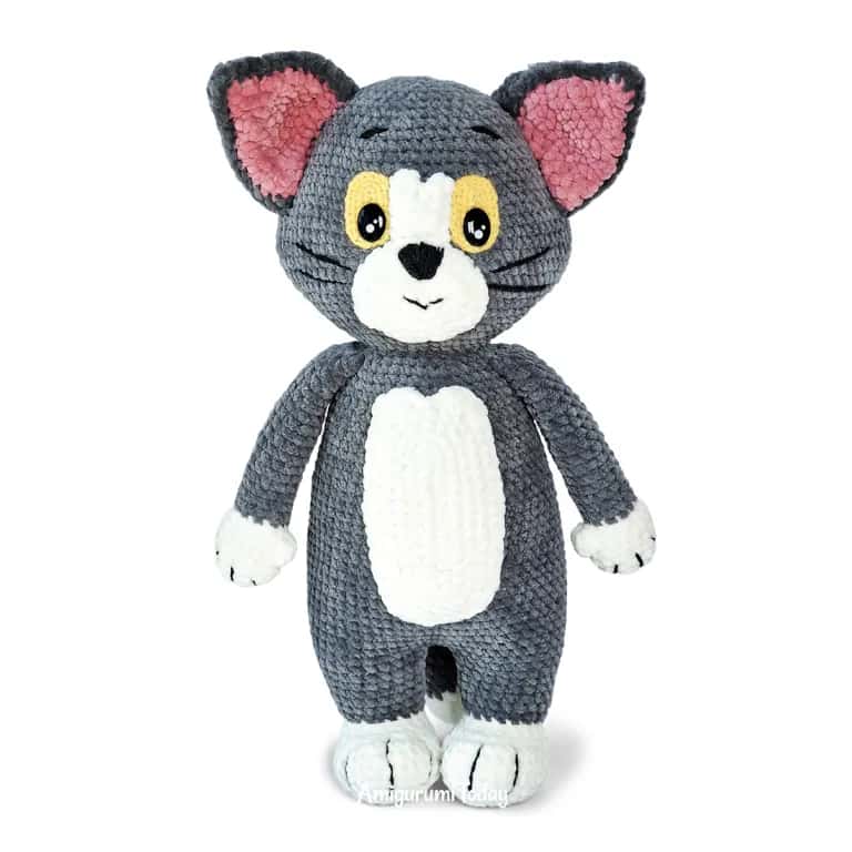 Tom the Cat