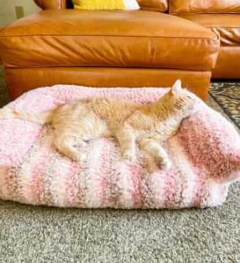 Katzensofa häkeln