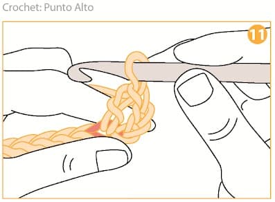 Step 11