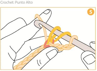 Step 5