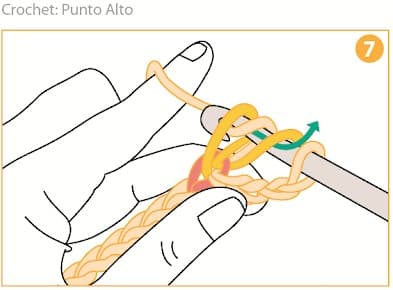 Step 7