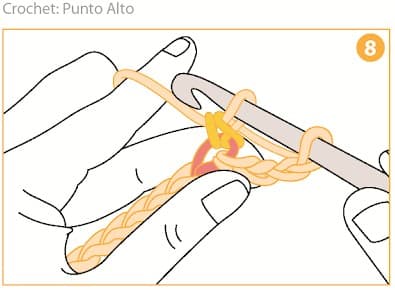 Step 8