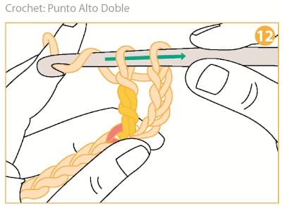 Step 12