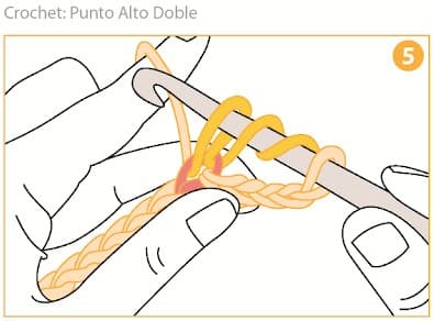 Step 5