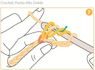 Step 7