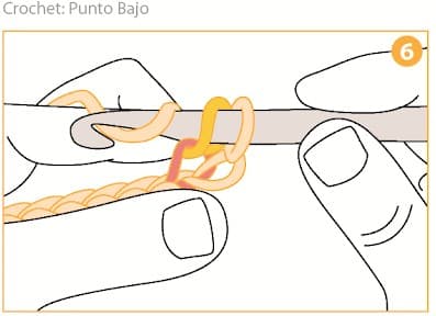 Step 6