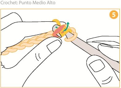 Step 5