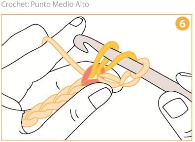 Step 6