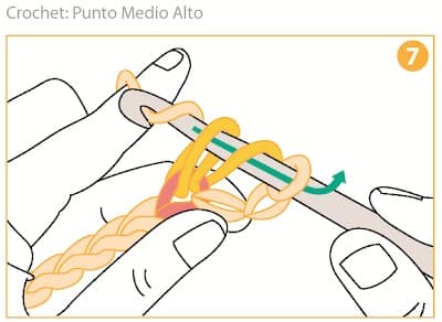 Step 7