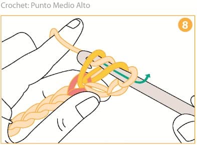 Step 8